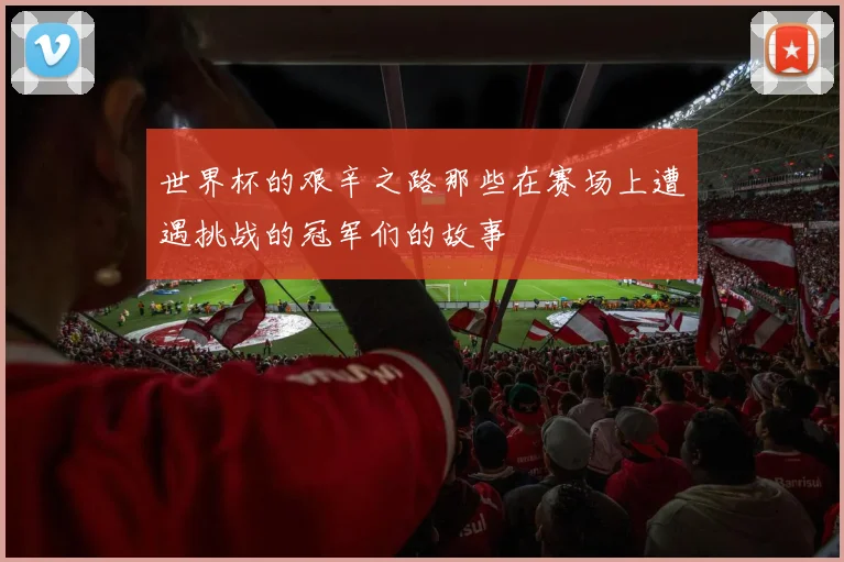 世界杯的艰辛之路那些在赛场上遭遇挑战的冠军们的故事